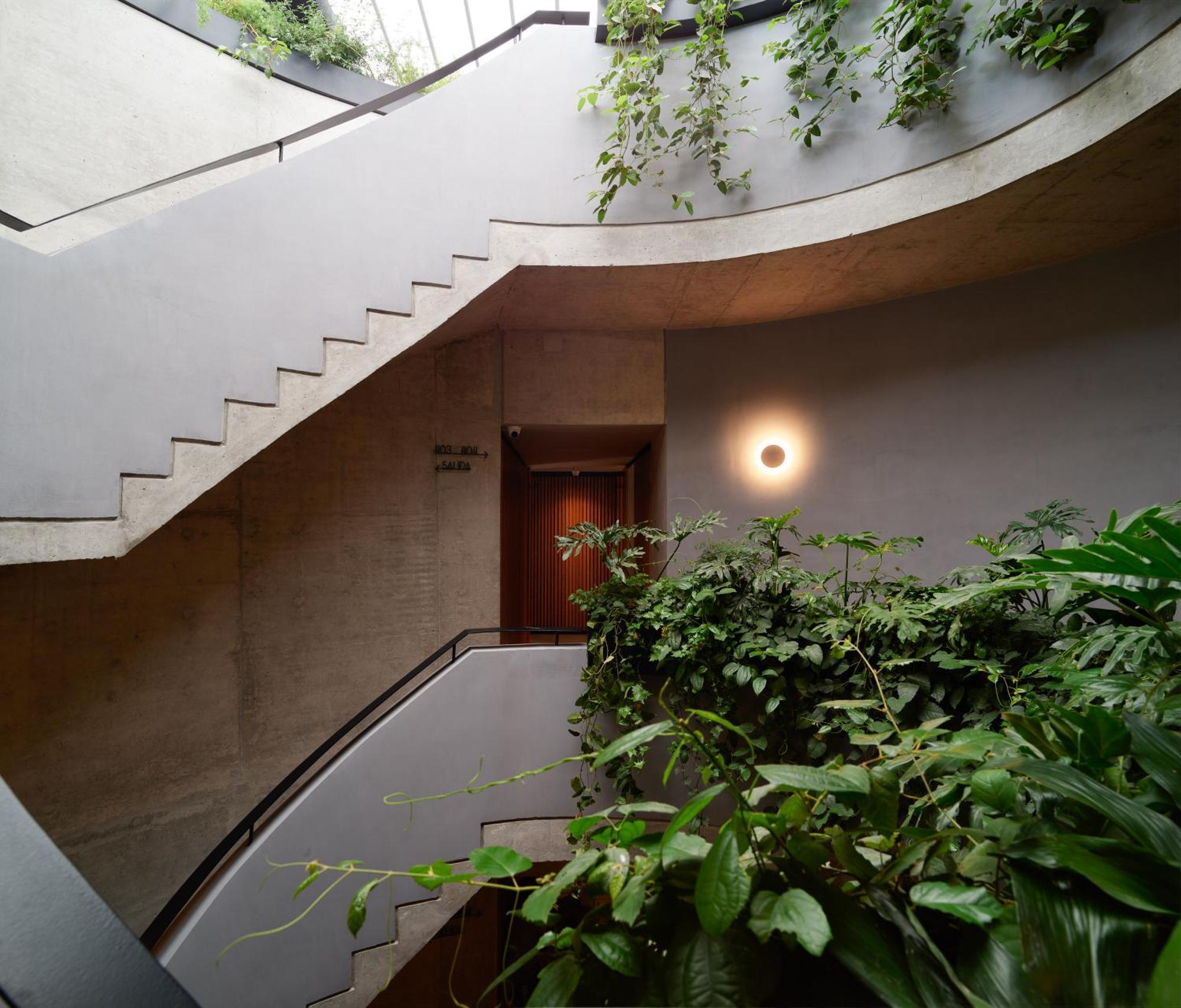 Maison Mexico Roma Екстер'єр фото